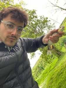 Chub
