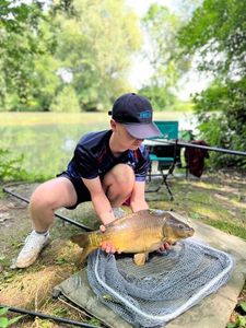 Mirror Carp