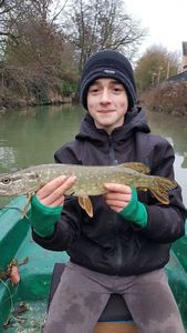 Northern Pike