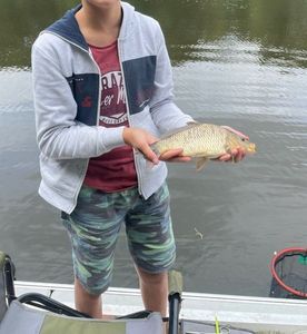 Common Carp