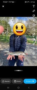 Rainbow Trout