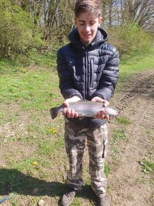 Rainbow Trout