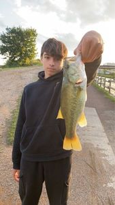 Largemouth Bass