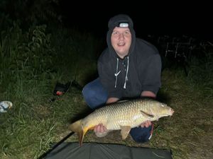 Common Carp