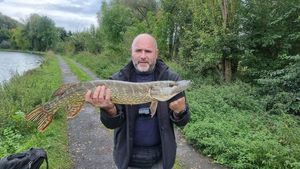 Northern Pike