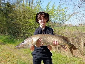 Northern Pike