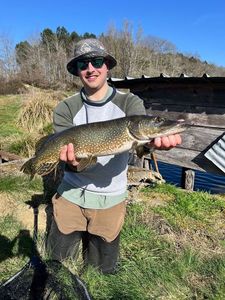 Northern Pike
