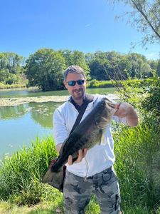 Largemouth Bass