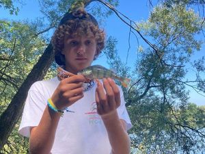 European Perch