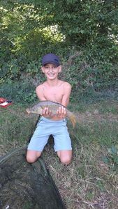 Common Carp
