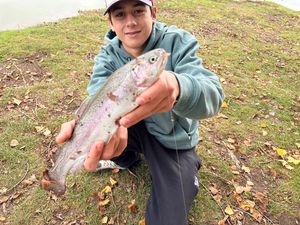 Rainbow Trout