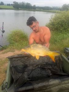 Mirror Carp