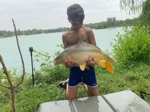 Mirror Carp