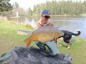Mirror Carp