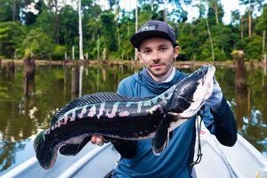 Snakehead