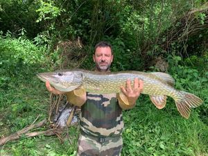 Northern Pike