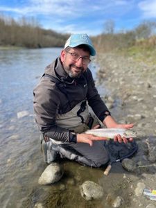 Brown Trout