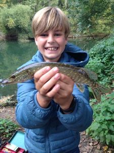 Northern Pike