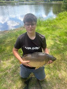 Mirror Carp