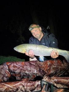 Grass Carp