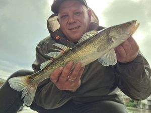 Zander