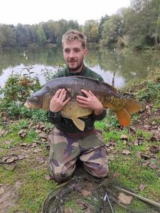 Mirror Carp