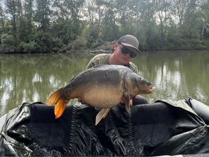 Mirror Carp