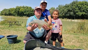 Common Carp