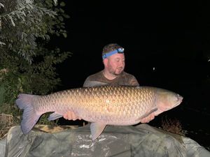 Grass Carp