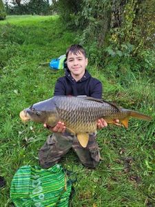 Common Carp