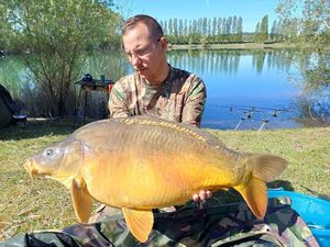 Mirror Carp