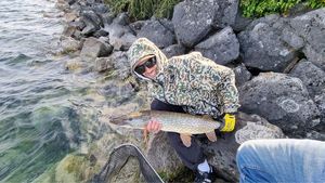 Northern Pike