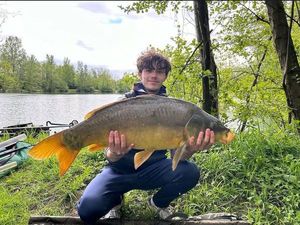 Common Carp