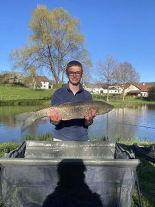 Grass Carp