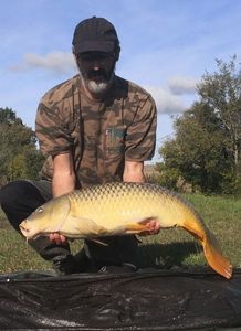 Common Carp