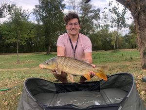 Common Carp