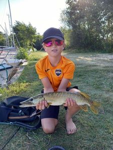 Northern Pike