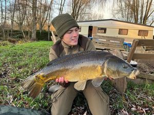 Mirror Carp