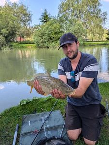 Common Carp