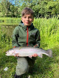 Rainbow Trout