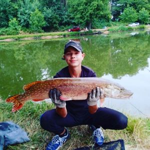 Northern Pike