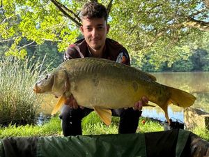 Mirror Carp