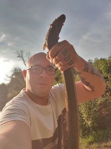 European Eel (Common Eel)
