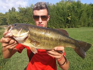 Largemouth Bass
