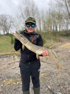 Northern Pike