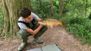 Common Carp