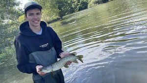 Northern Pike