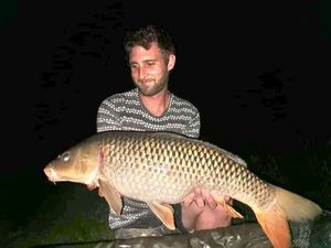 Common Carp