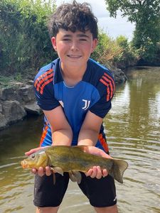Tench