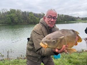 Mirror Carp